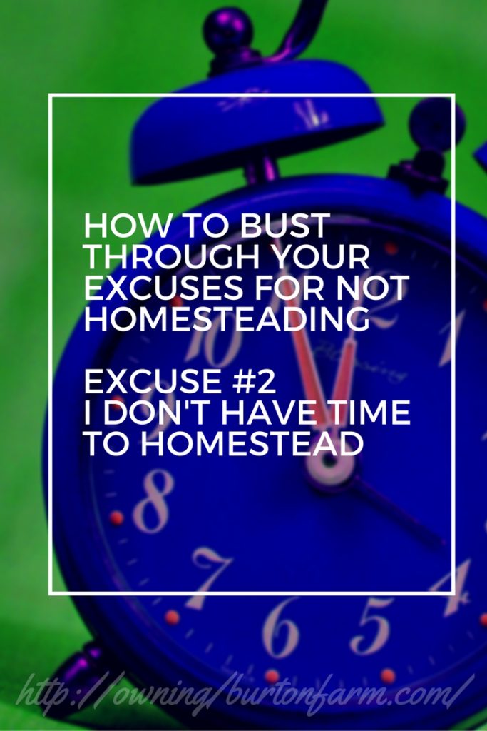 PIN - Excuse 2 Homestead