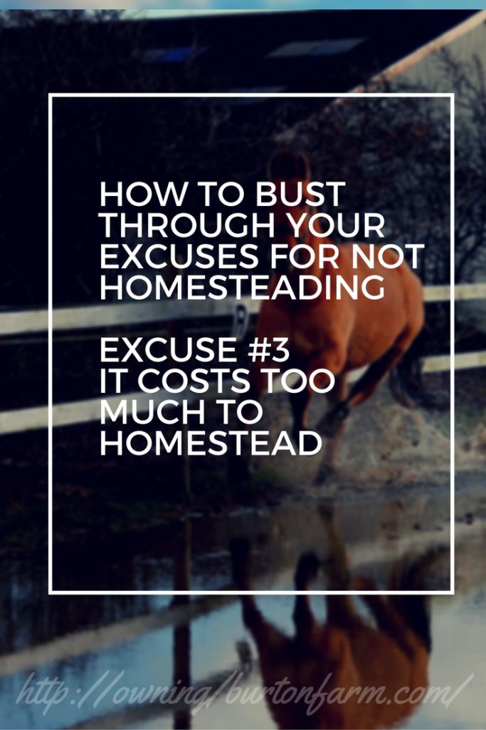 PIN - Excuse 3 Homestead