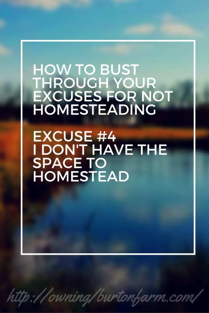 PIN - Excuse 4 Homestead