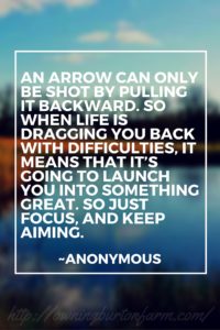 An arrow can only be shot by pulling it backward. So when life is dragging you back the difficulties, it means that it’s going to launch you into something great. So just focus, and keep aiming.