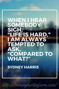 “When I hear somebody sigh, ‘Life is hard,’ I am always tempted to ask, ‘Compared to what?’” -Sydney Harris Debt is hard. Getting out of it is even harder. Click to see how we're getting out of over a quarter of a million dollars in debt.