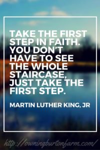 “Take the first step in faith. You don’t have to see the whole staircase, just take the first step.” -Martin Luther King Jr. Read More about my first step on my journey to a debt free homestead by clicking through, or save for later.