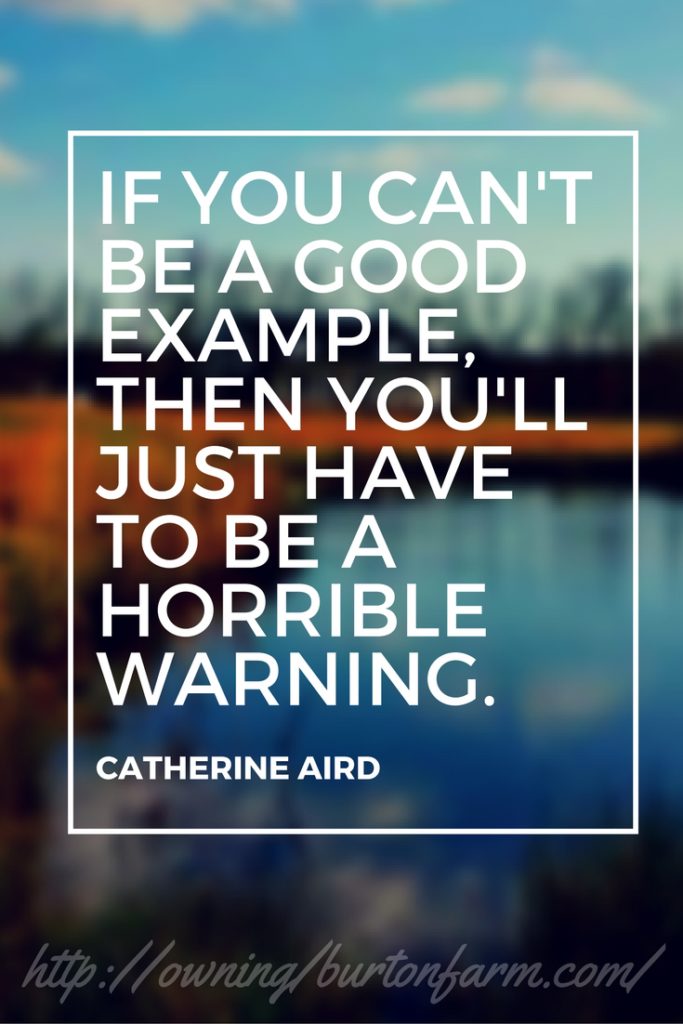 If you can't be a good example, then you'll just have to be a horrible warning. ~Catherine Aird I am feeling like a horrible warning for you right now. Do NOT use your credit cards like this. THIRTY point drop in credit scores in the last 30 days. OUCH.