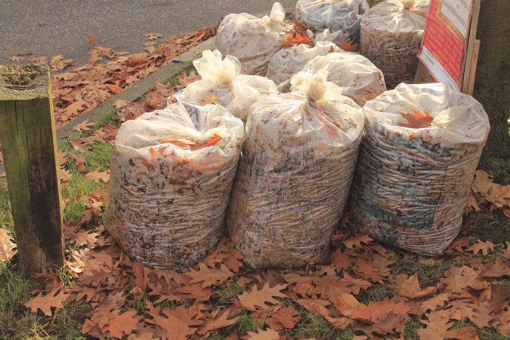 Driving around neighborhoods with large yards in the fall can be the ultimate jackpot for finding "dead bodies" for mulch.