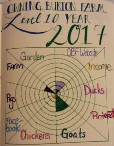 Bullet Journal Farm and Blog Level 10 Goal List for the Year - Owning Burton Farm