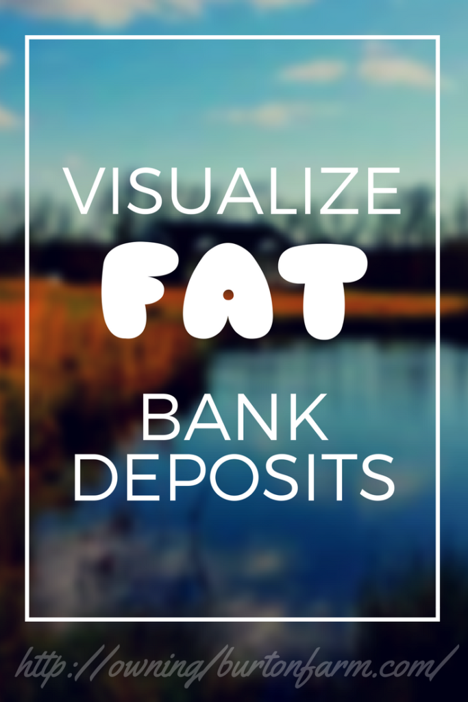 Visualize Fat Bank Deposits - The month I practiced this exercise, I brought in nearly $3,200 in unexpected funds.