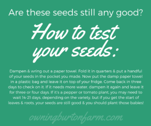 How to test your seeds for viability: Dampen & wring out a paper towel. Fold it in quarters & put a handful of your seeds in the pocket you made. Now put the damp paper towel in a plastic bag and leave it on top of your fridge. Come back in three days to check on it. If it needs more water, dampen it again and leave it for three or four days. If it’s a pepper or tomato plant, you may need to wait 14-21 days, depending on the variety, but if you get the start of leaves & roots, your seeds are still good & you should plant those babies!