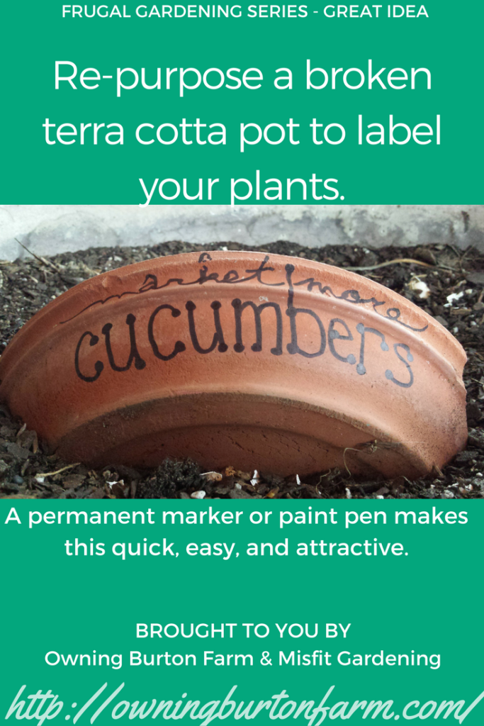 You can make free seedling labels out of all kinds of things. Click to see more ideas for free and cheap labels for your plants. Owning Burton Farm and Misfit Gardening are teamed up for a Frugal Gardening Series. Come see what we're up to and get your garden started!