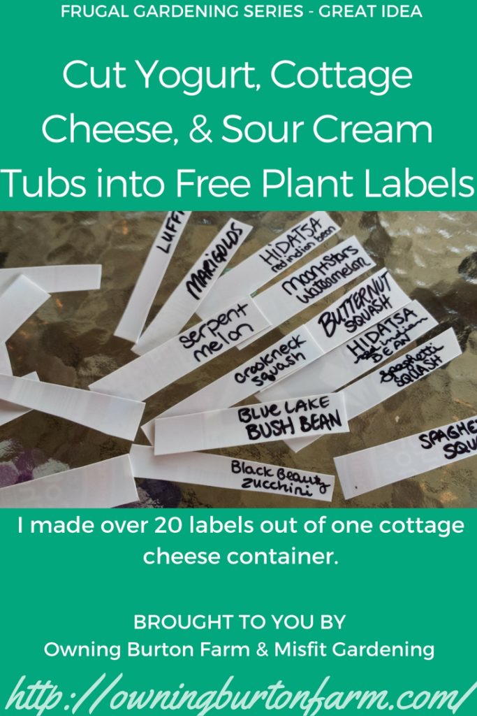 You can make free seedling labels out of all kinds of things. Click to see more ideas for free and cheap labels for your plants. Owning Burton Farm and Misfit Gardening are teamed up for a Frugal Gardening Series. Come see what we're up to and get your garden started!