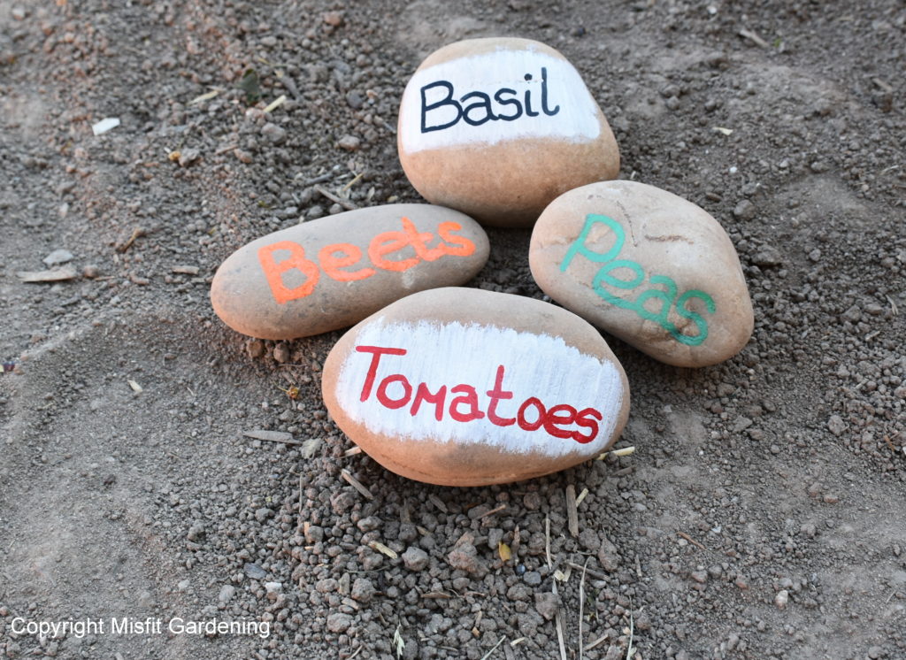 Rocks with Paint Markers - You can make free seedling labels out of all kinds of things. Click to see more ideas for free and cheap labels for your plants. Owning Burton Farm and Misfit Gardening are teamed up for a Frugal Gardening Series. Come see what we're up to and get your garden started!