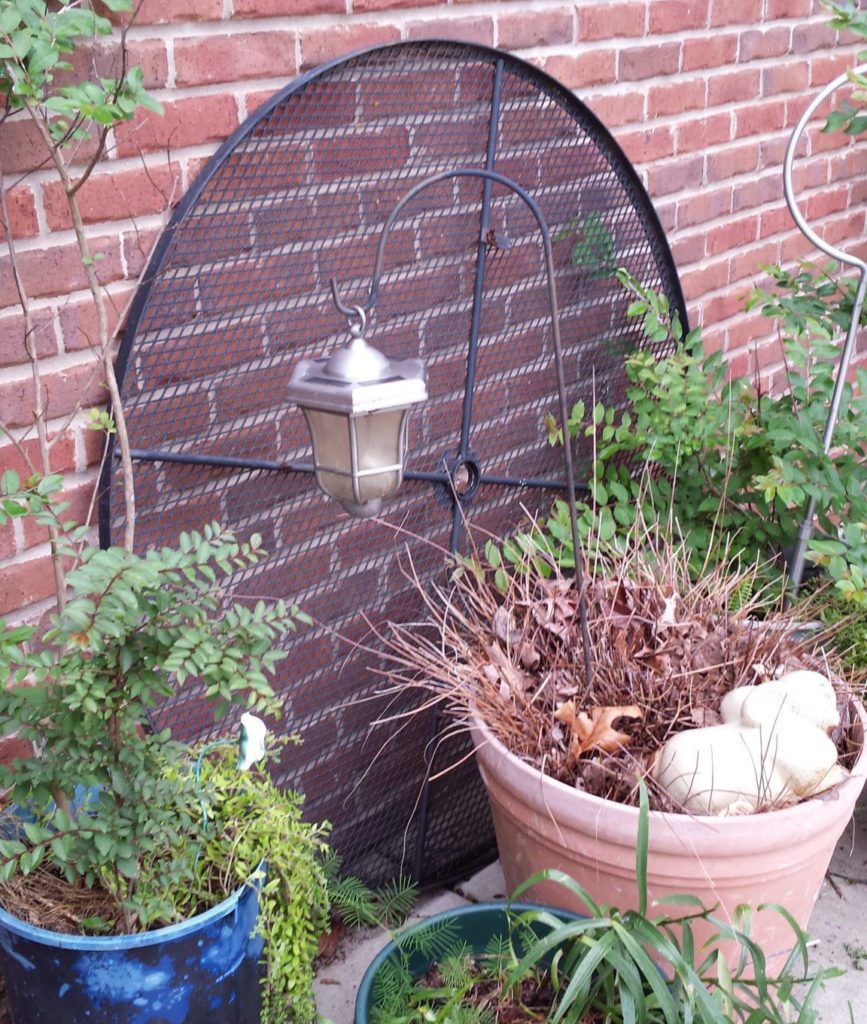 How to make a trellis for no money, using scraps, castoffs, and junk you already own. Think about what you could do with broken umbrella frames, old fencing or wire, a swingset, shelving racks from old appliances, etc. Click thru to read more ideas or pin for later.