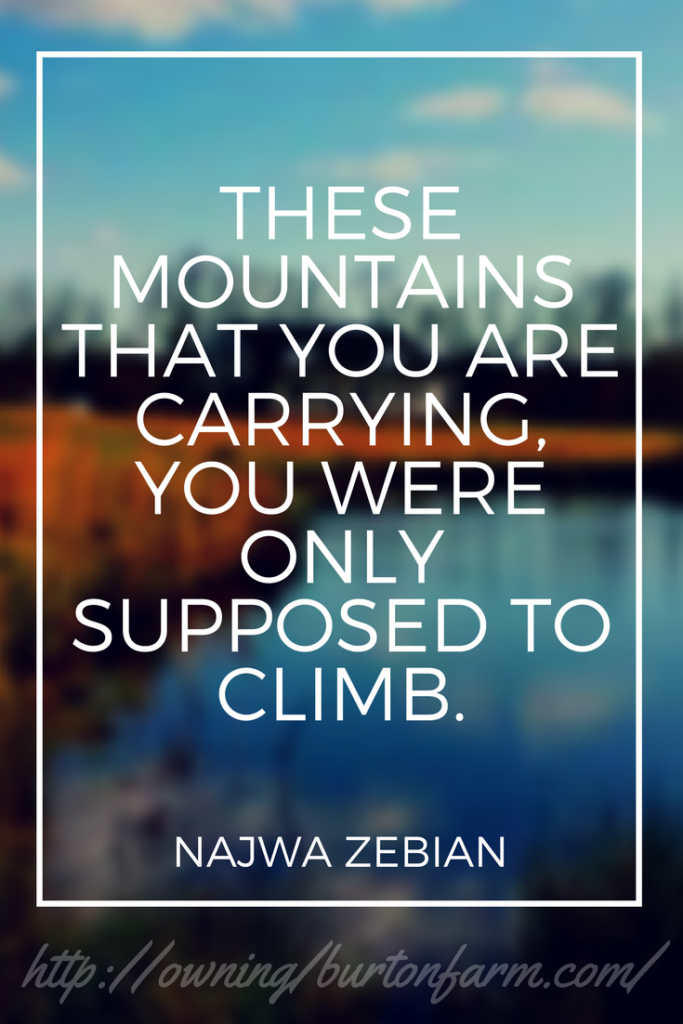 These Mountains that you are carrying, you were only supposed to climb - Najwa Zebian