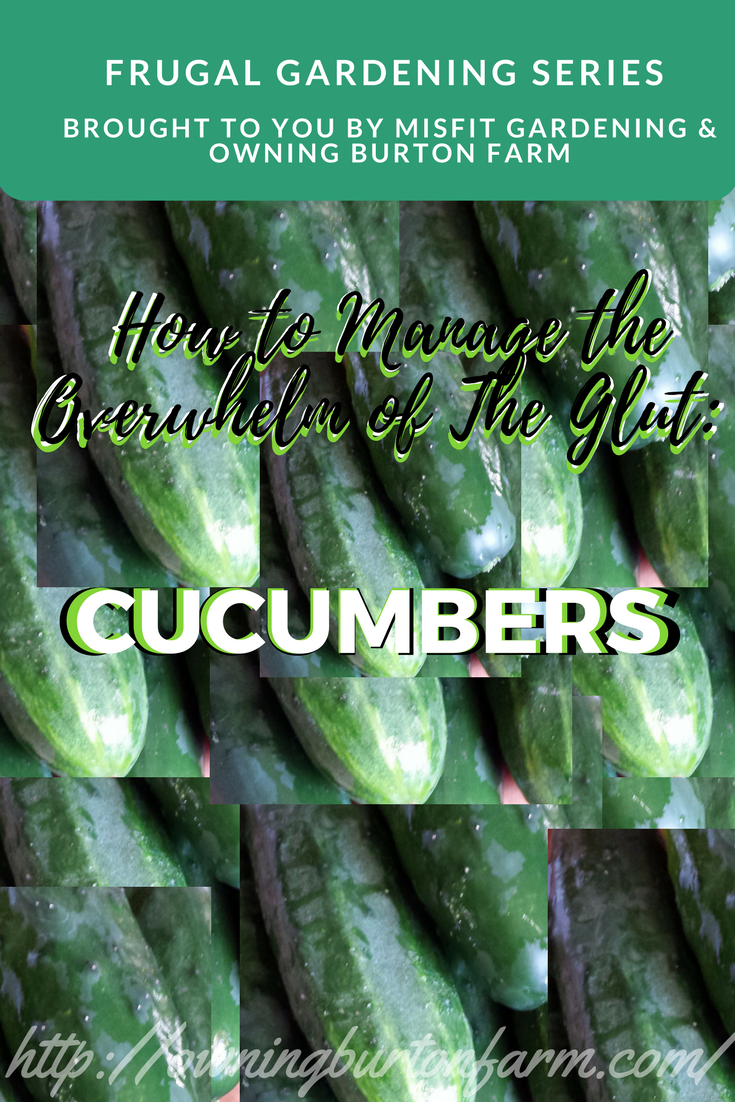 What to do with all those cucumbers! The cucumber glut is upon us. This post in our Frugal Gardening Series will give you some great ideas to get you in and out of the kitchen in a hurry, with some delicious and refreshing ideas to consume those cucumbers! Pin for later or click through to use up your cucumbers now!