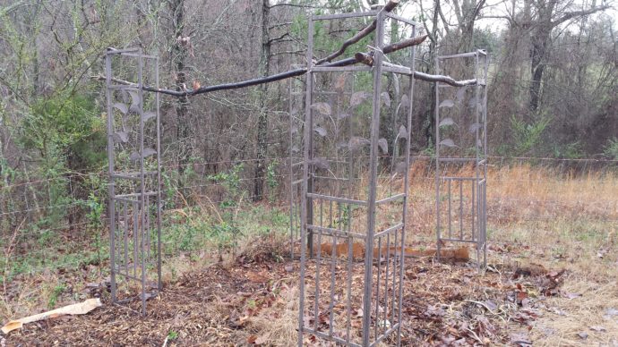 We re-purposed some old pop-up tent support legs into the beginnings of our garden spot for the boys. I took some trimmed branches and zip tied them to the supports to form the frame. I can't wait to see the sunflowers and pole beans climbing up the walls!