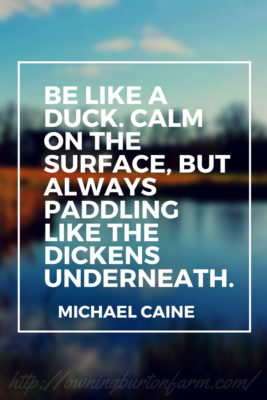 Be like a duck. Calm on the surface but always paddling like the dickens underneath. Michael Caine - This month's quote from Owning Burton Farm