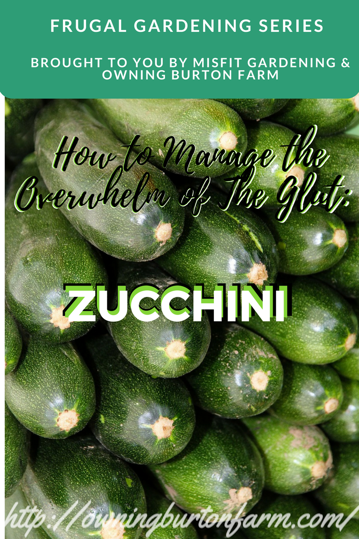 Zucchini ...How to manage the overwhelm of the glut of zucchini -- Come take a look at all the great ideas for using up that zucchini deliciously! Sign up to see our glut posts on tomatoes and cucumbers, too.